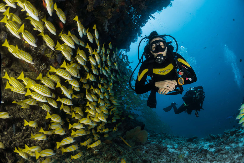 Top 15 Best Scuba Diving In The World