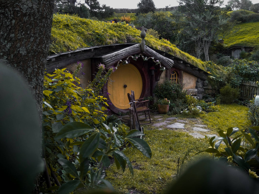 moss-covered house at daytime photo