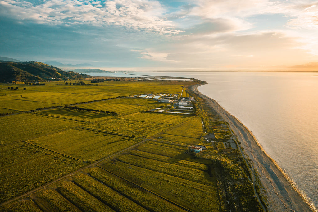 aerial view of green field photo