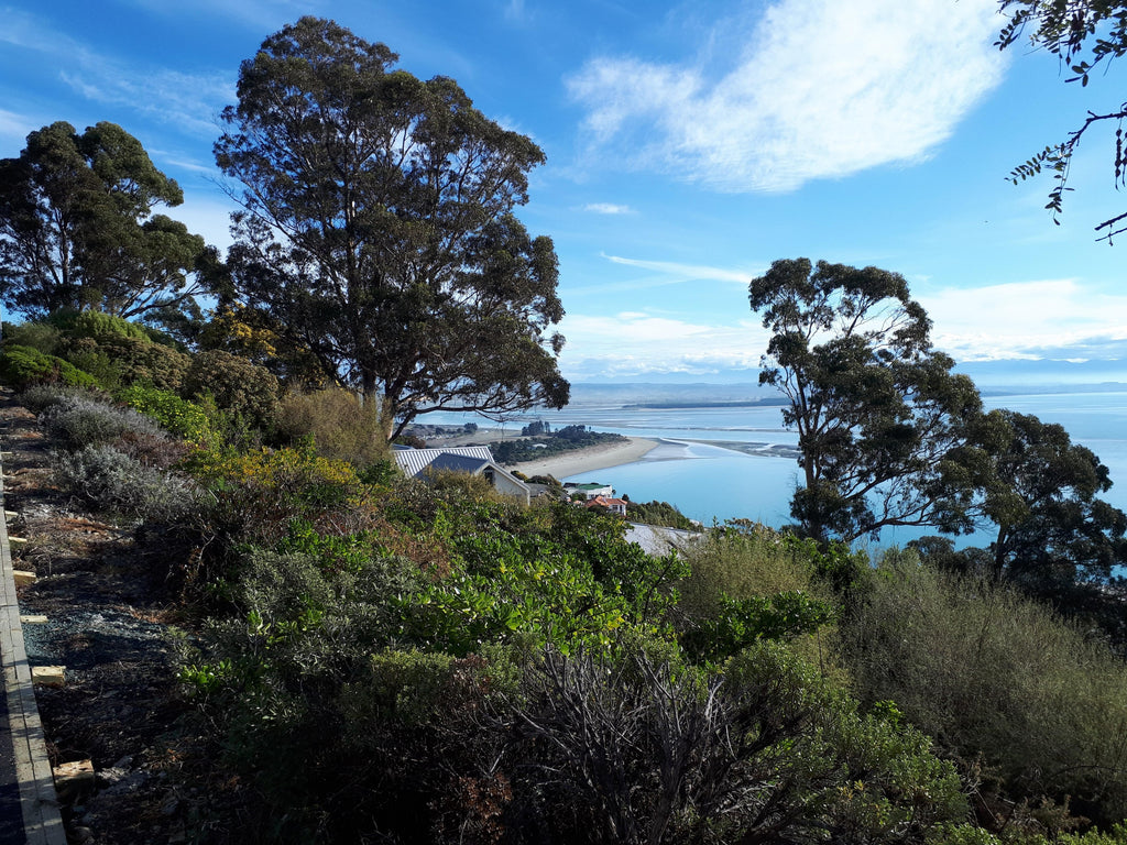 Tahunanui Beach, Nelson, New Zealand