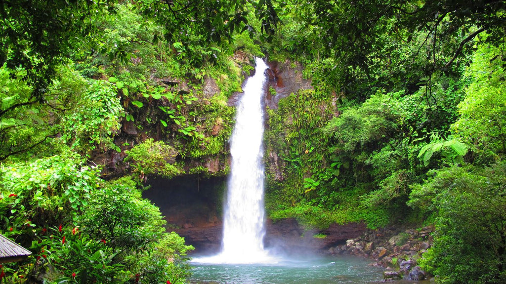 Tavoro Waterfall, Taveuni