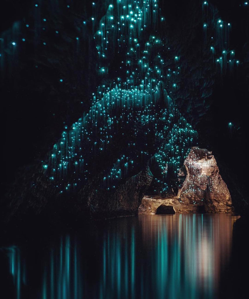 Waitomo Caves, New Zealand