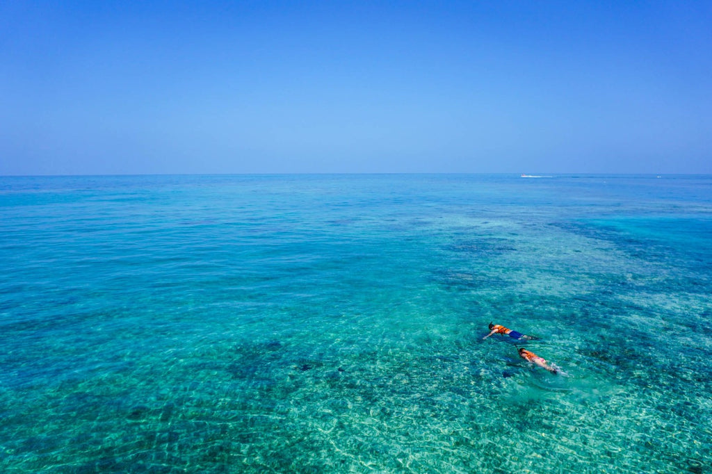 two person swimming on body of water photo