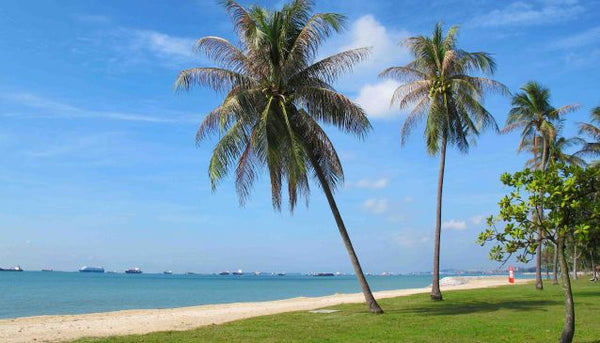 changi beach park singapore