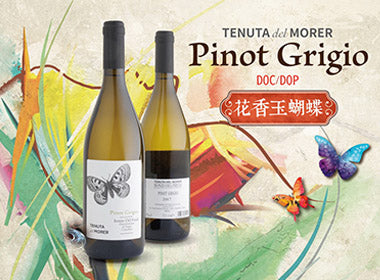 Pinot Grigio Wine Passions 意酒會