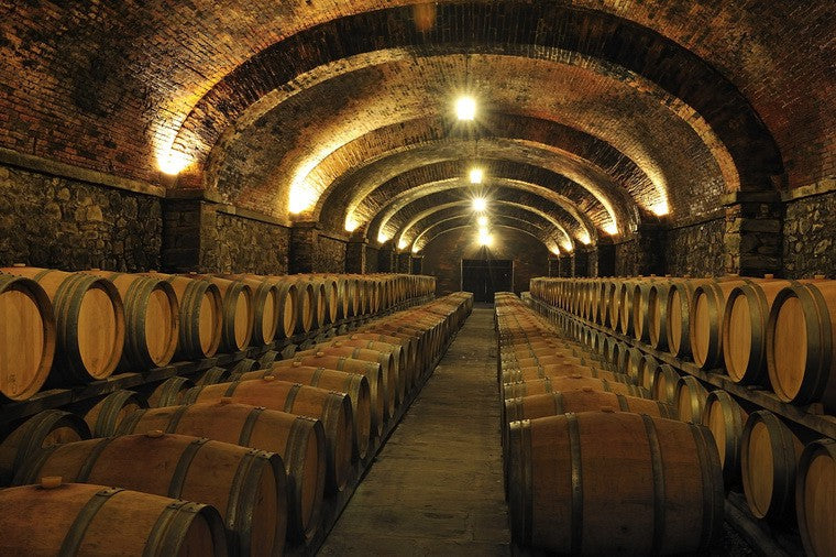 意大利葡萄園 意大利葡萄品種 意大利紅酒好年份 西西里島酒莊 docg氣泡酒Red wine  White wine  Grapes Italian wine  Italian  Alcohol Taste  Wine making Wine industry Wine factory