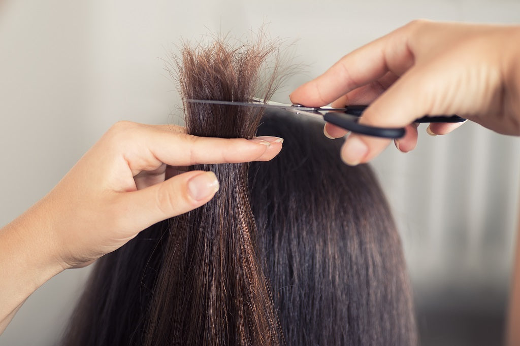 How to Get Rid of Split Ends- Natural Ways to Protect Hair