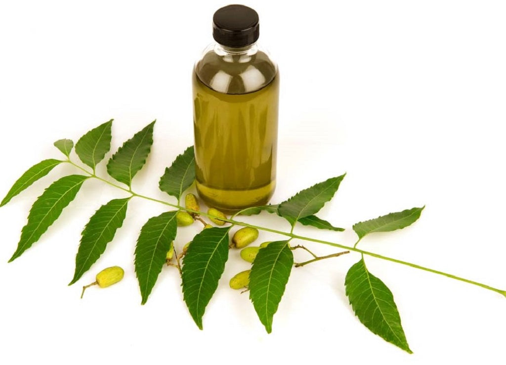 9 Benefits of Neem Oil for Skin and Hair (Infographic)