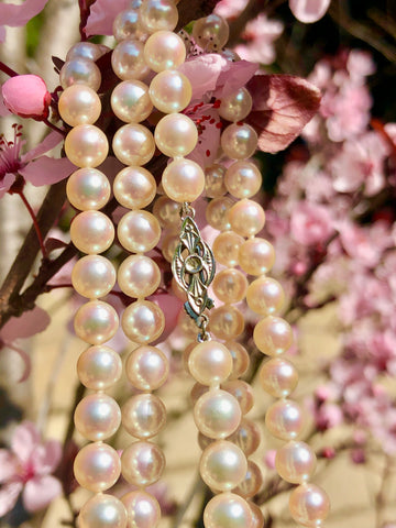 Japanese Akoya Cultured Pearls