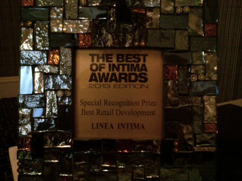 The Best of Intima Awards 2013 Edition - Special Recognition Prize - Best Retail Development - Linea Intima