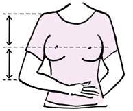 proper positioning of the breasts