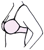 how a properly fitted bra looks from the side