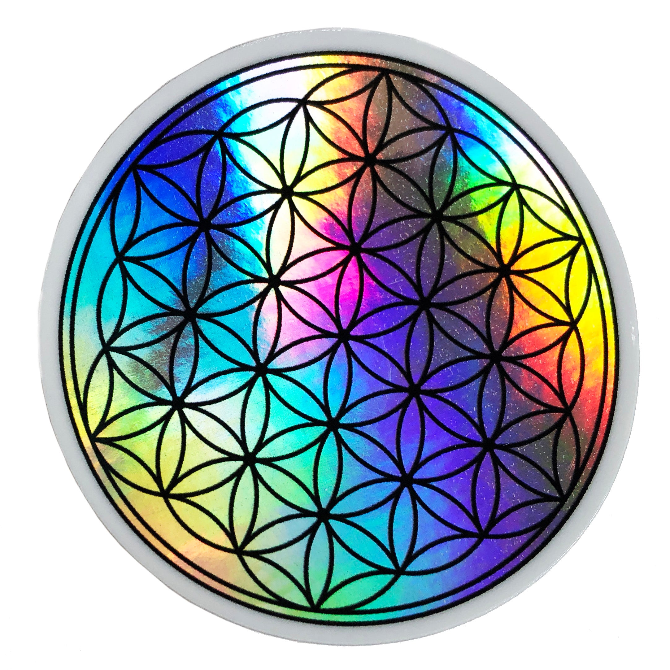 Flowers of Life Holographic