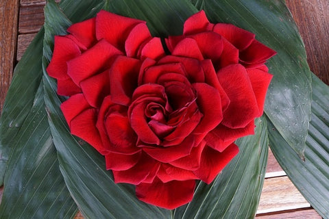 koleksi buket mawar merah termurah