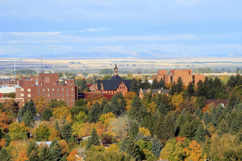 View of Montana State University in Bozeman