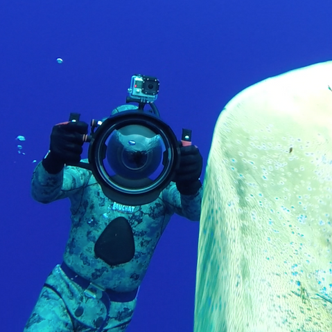 Mike Bhana | Ocean Guardian Ambassador