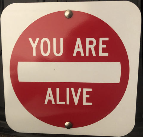 You Are Alive by Scott Froschauer