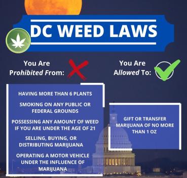 dc weed laws