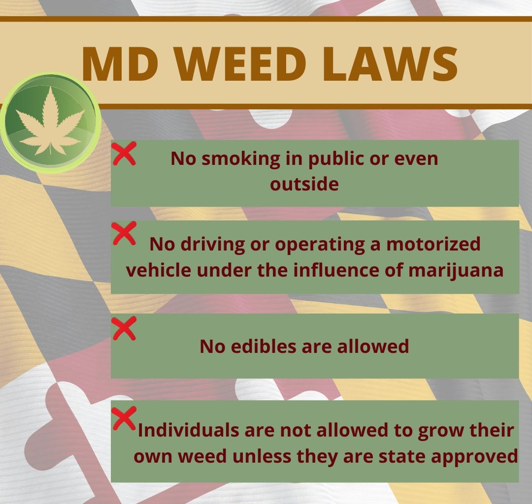 maryland weed laws