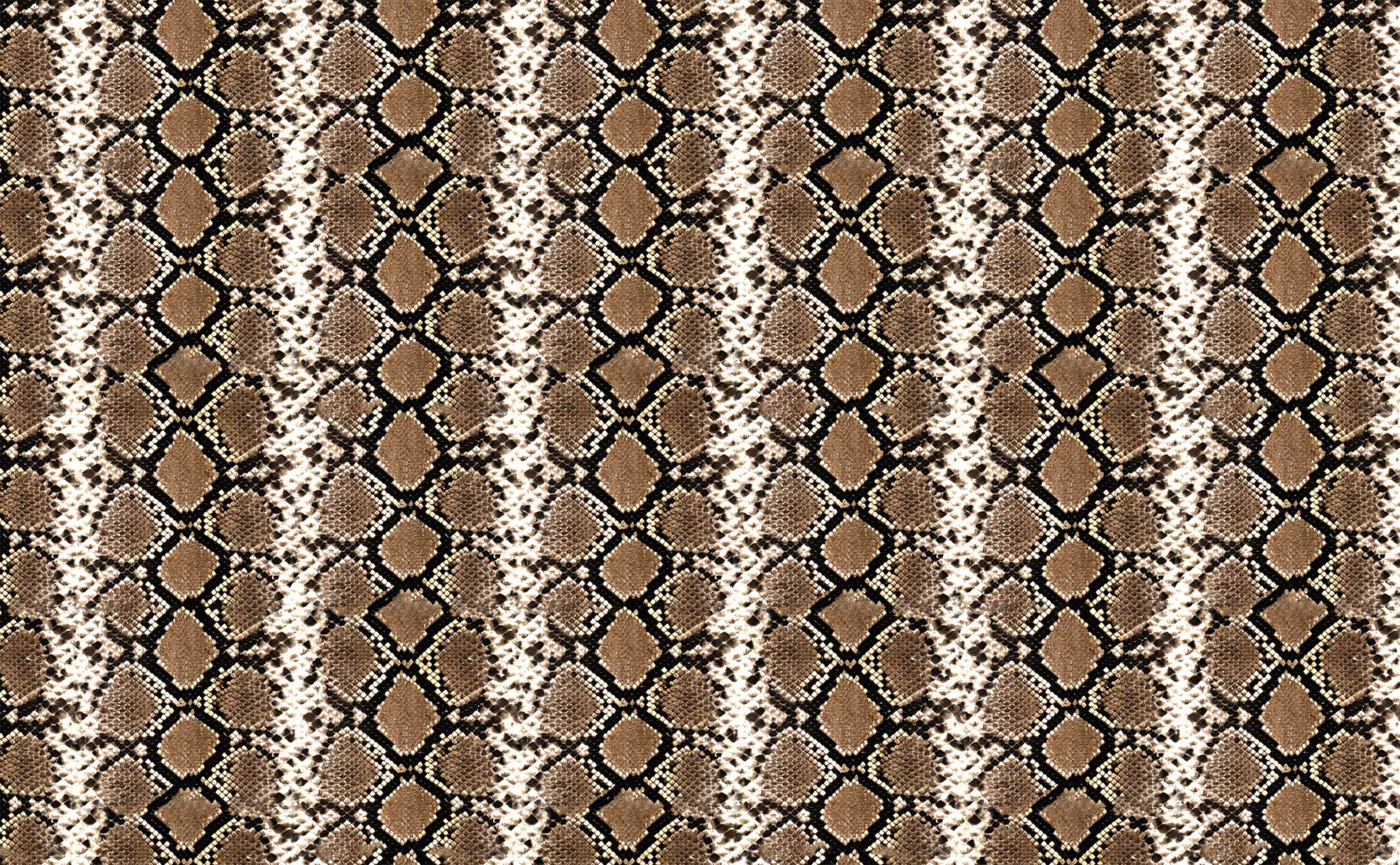 Empire Sample