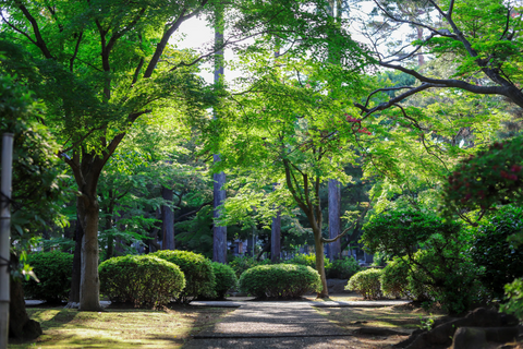 landscaped walkway