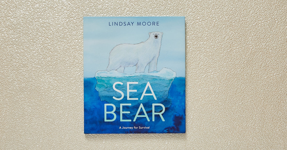 10 Polar Bear Facts for Kids – HarperCollins