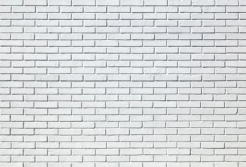 Kate ケイトホワイトレンガ壁の写真の背景 Katebackdrop Jp