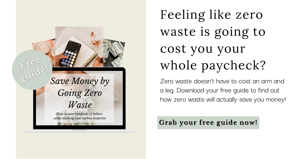 save money zero waste free guide