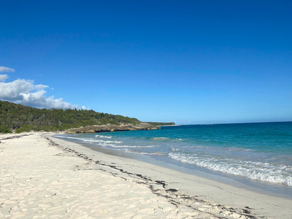 Naive Beach, Vieques, Puerto Rico