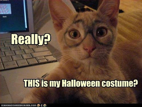 Bad Kitty Costume