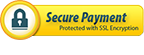 Secure Payment Processing