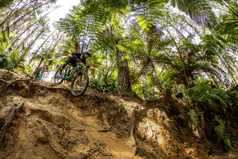 DOWNHILL MOUNTAIN BIKER