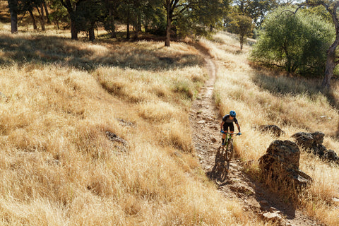 Mountain bikers