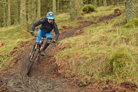 MOUNTAIN BIKER CORNERING IN THE FOREST