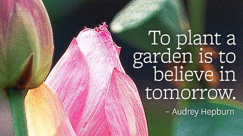 Inspirational Garden Quotes Vego Garden