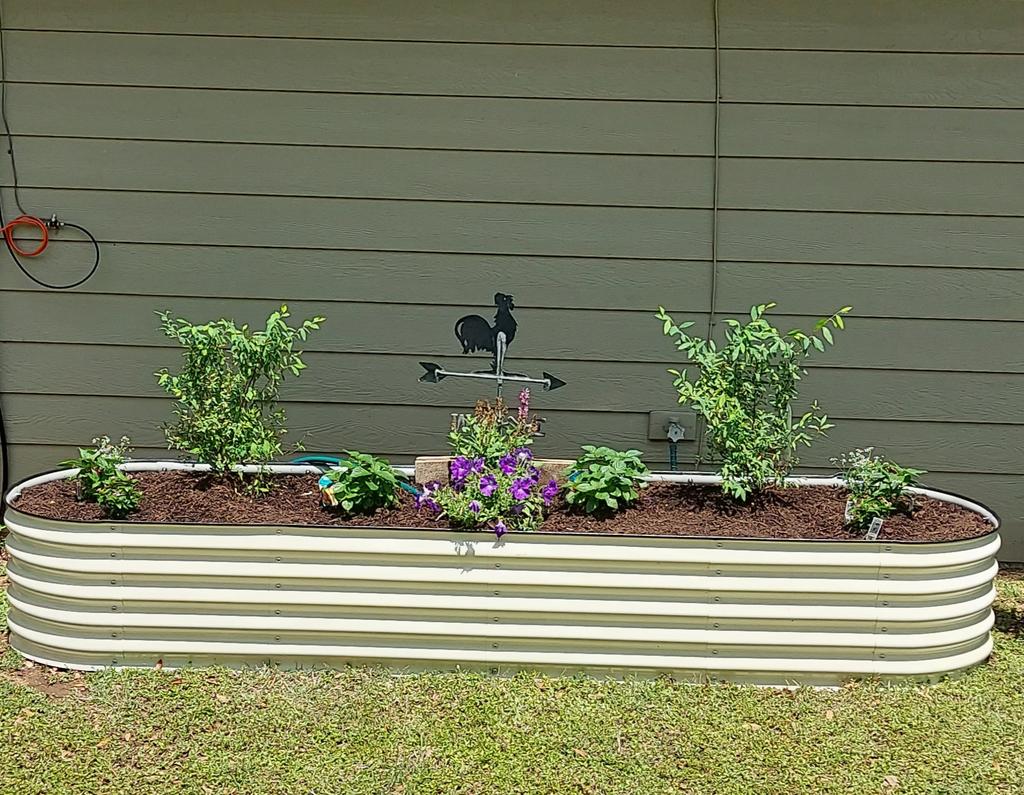 7 Excellent Reasons To Use Raised Beds In Your Garden | Vego Garden