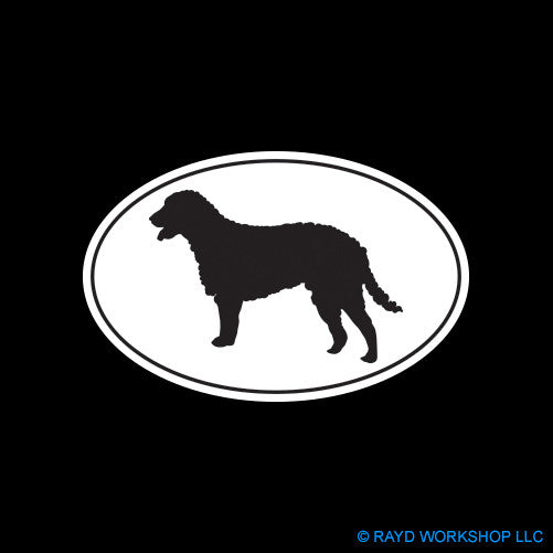 Curly Coated Retriever Euro Oval