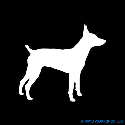 Rat Terrier