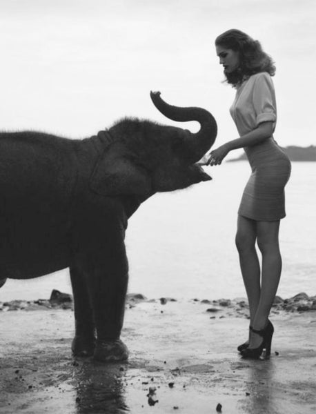 Sensual woman with elephant from Tumblr reblog