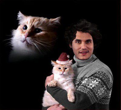John Mayer Holiday Card Cat Obsessed