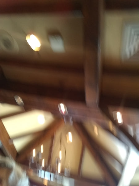 Shiloh Richter La Madeleine San Antonio 27 May 2019 with family (1) (not pictured) An accidental shot of the ceiling