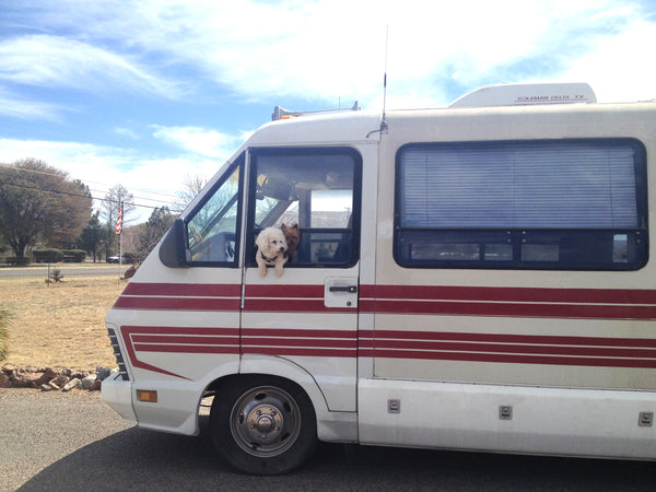 Shiloh Richter My old remodled RV with Moonbeam and Custard hanging out the window