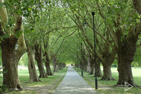 Jesus Green Cambridge in UK