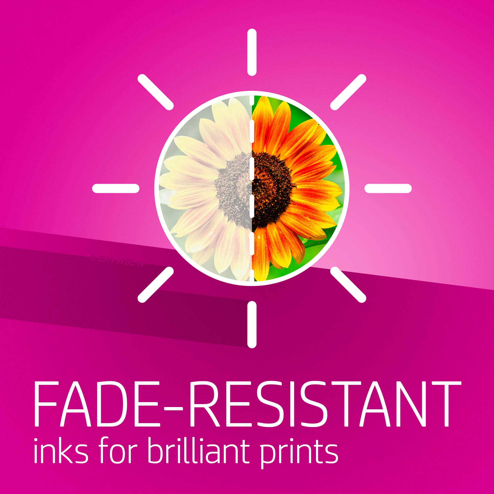 HP 65 | 2 Ink Cartridges | Black | N9K02AN