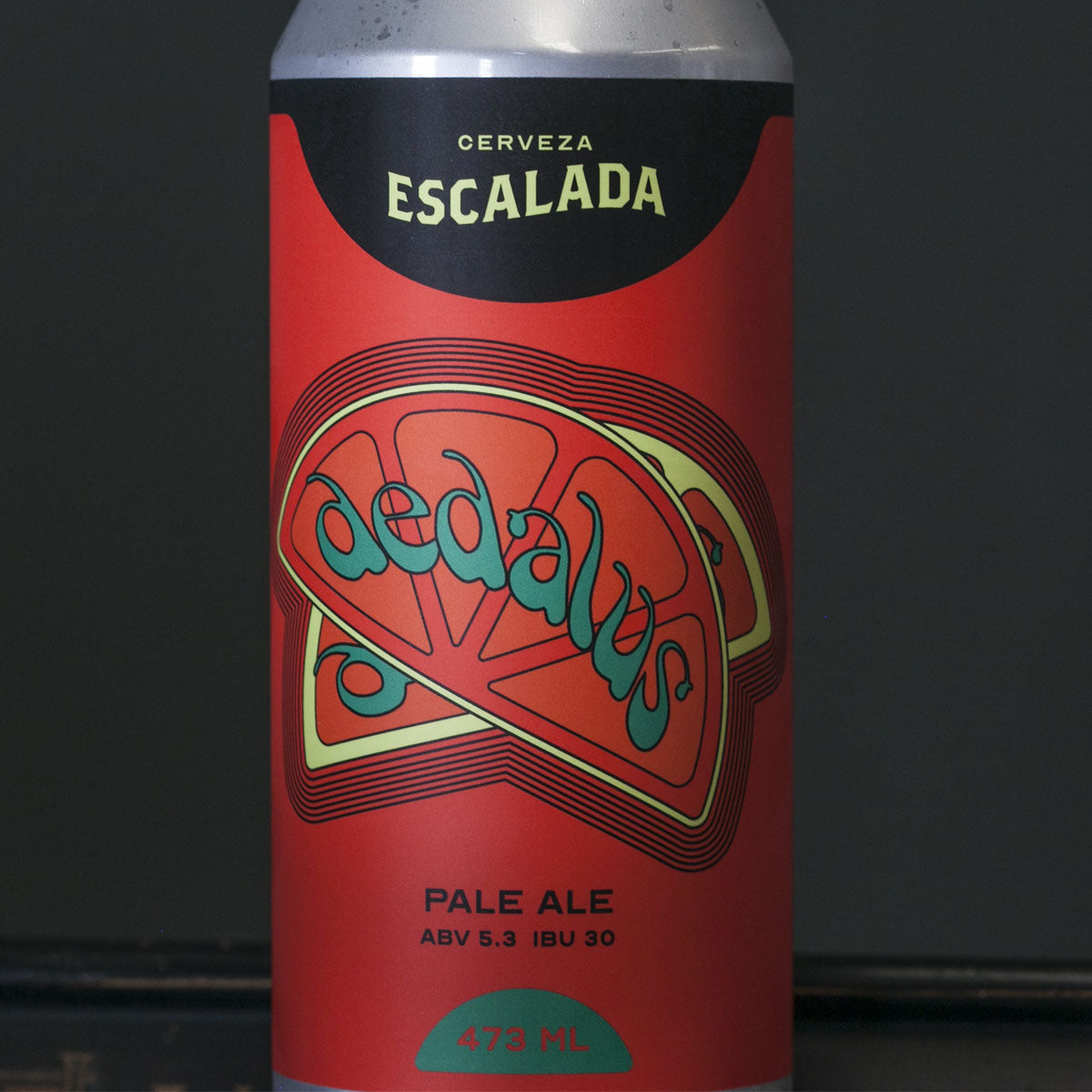 Cerveza Escalada Pack Dedalus Pale Ale x6 - Six Pack
