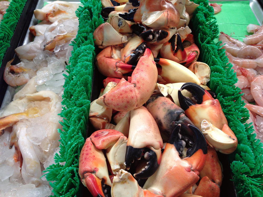 The Ins and Outs of Florida Crab Season Billy's Stone Crab