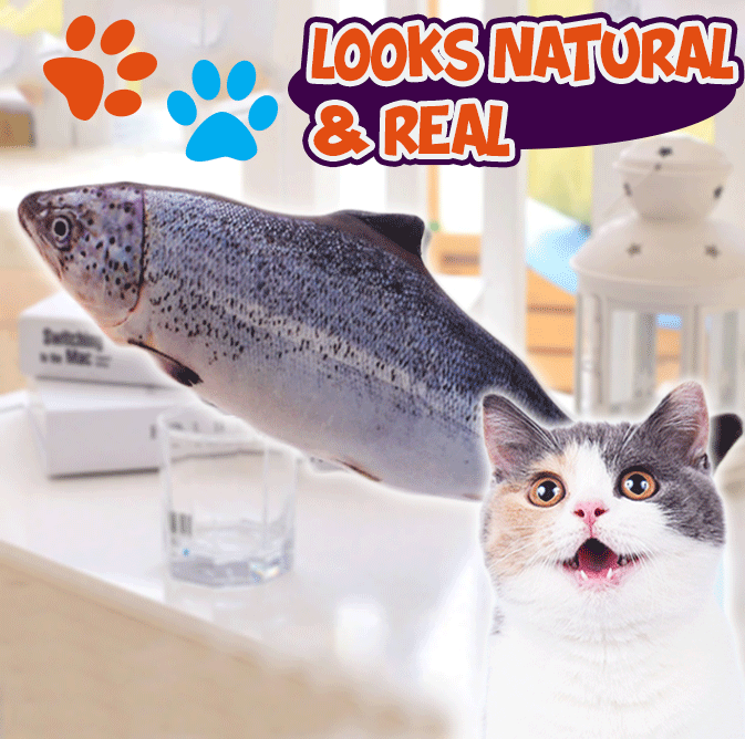 Vibrating Interactive Fish Toy