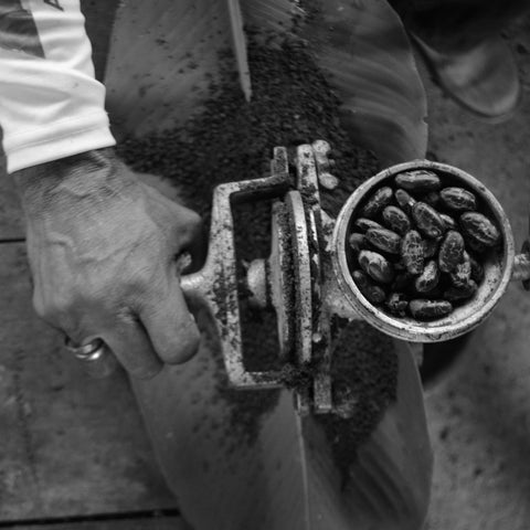 grinding cacao 