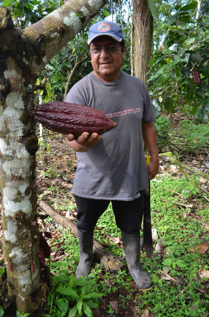 cacao farmer