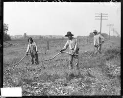 Immigrant work, Immigrant's Stink, E. P. Lee, STUFF